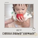 다원농장 | 영천 복숭아 제철, 다원이네 과일농장 신비복숭아 내돈내산 후기