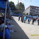 성정초등학교 이미지