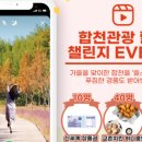 합천이벤트 이미지
