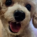 고현낚시터 이미지