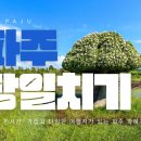 파주 당일치기 여행 가볼만한곳 일정표 총정리