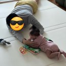 꿈트리 | 일기 2 (생후 97일차까지/스와들업졸업/꿈수졸업/춤추는트리솔직후기/을지깐깐/타임스퀘어/테디뵈르...