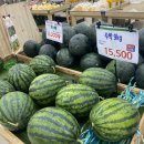 지효푸드 이미지