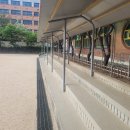 늘푸른초등학교 이미지