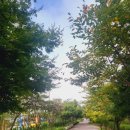 전재울근린공원반월마당 | [구월선수촌]운동하기 좋은 도심속 숲속같은 &#34;아시아드 근린공원&#34;(만국광장)