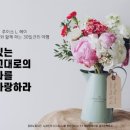 (주) 자연바이오 이미지
