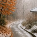 (12/21) 깍두기 담그기 | 24절기 소설(小雪) 뜻과 유래, 초겨울 풍습·음식·날씨 총정리