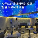 오로시에 관광호텔 이미지