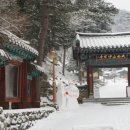 마을닭집 네이버블로그