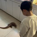 망고키즈트라이랩 센텀점 | 양산 아이와 파충류카페 망고키즈트라이랩 방문후기