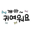 글램독 양양 이미지