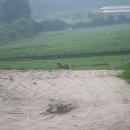 송암축산 이미지