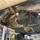 수컷웅샵 이미지