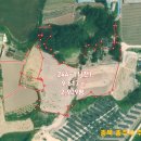 분향 태양광발전소 이미지