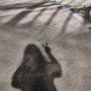 롯데리아 센텀프라자 빌딩점 이미지