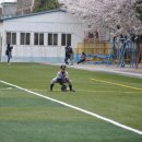 신광초교 이미지