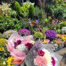 고양행신128 이미지