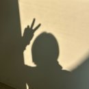 [대구] 채광이 좋은 대구미용실 옵스헤어 테슬펌 후기