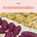 맛 보장 한식 클래스 | 부산베이킹원데이클래스 비주얼도 좋고 맛도 좋은 고구마, 감자빵 후기