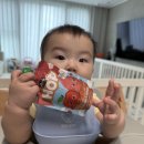 웅이농장 | 웅이가 즐기는 맛있는 간식 아넬라 아기 퓨레 후기