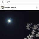 카페돼펭