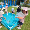 오산숲유치원 이미지