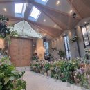 토브하우스 이미지