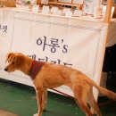 아롱`s 펫디저트 이미지