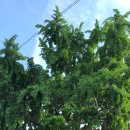 신상경로당 이미지