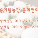 황금뜰농장 이미지