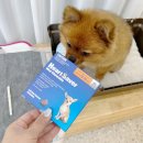 주식회사 하트세이버 이미지