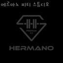 에르마노 피티스튜디오 이미지