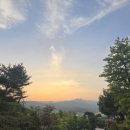 단풍숲캠핑장 | ⛺ 용인 단풍숲캠핑장 가보다! (내돈내산)