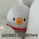 봉곡로-18 네이버블로그