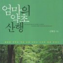 약초와산이야기 이미지