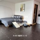 도그앤스테이 이미지