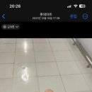 샤랄라네일