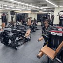 타이거 휘트니스 이미지