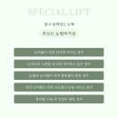 루브르성형외과