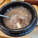 움라우트 카페 이미지