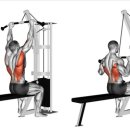 제로백피트니스 이미지