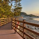 비토섬오토캠핑장 이미지