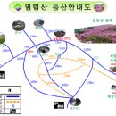 광주,전남 오르리 5월 산행 안내입니다.-보성 일림산 이미지