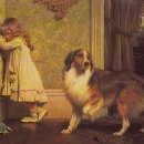 강아지왈츠 이미지