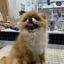 우리함개 이미지
