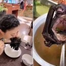 (주)케이엠바이오 이미지