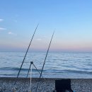 신명 공중화장실 | 울산 북구 신명해변 성대낚시·차박·노지 캠핑 노을 명소 방문 후기 주차장 화장실 정보