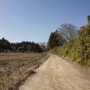 종남축산 이미지