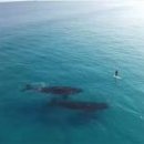 파도 당구장 이미지