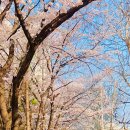 샘마을 쪽 이미지